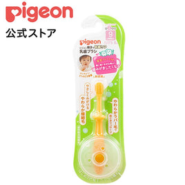 Pigeon 貝親 練習牙刷- 第二階段 (9m+)